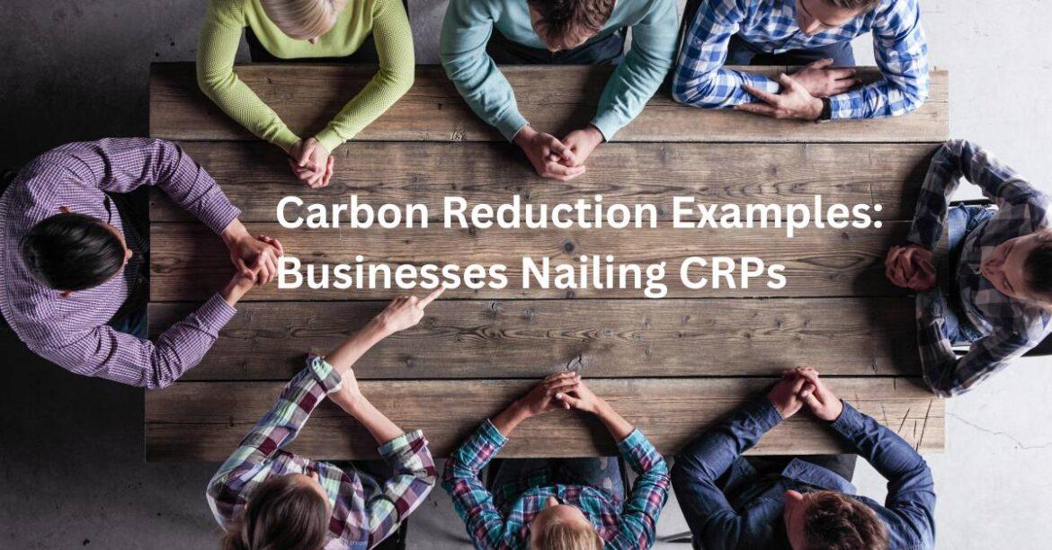 Carbon Reduction Plan Examples: UK Businesses Nailing CRPs